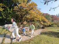 落叶、假山、亭台……一步一景，百花苑初冬也争艳