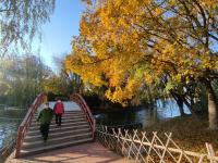 猜猜这是哪个公园？湖中藏着两座迷你岛