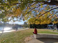 猜猜这是哪个公园？湖中藏着两座迷你岛