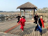 风起金色芦苇荡？冬日唐岛湾公园绝美画面