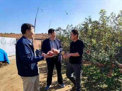 摘掉“老大难”帽子，青岛这个“美丽庭院创建标杆村”从美起来到富起来