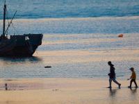 夕阳+晚霞+海鸥！顾家岛海滨实拍美图