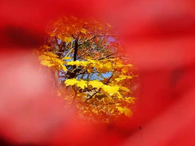 这是童话世界吗？北九水披上深秋外衣