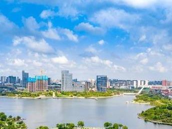 1312.09公顷，全部刈割完成！青岛互花米草治理进度全省领先