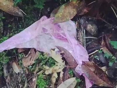 云南哀牢山四名失联人员已找到，均已遇难