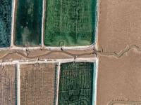 青岛万亩蓝色粮仓：虾蟹参贝从这上餐桌