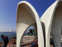 灯塔+木槿、紫薇……小青岛美呆了！