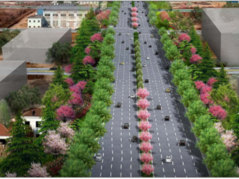 青岛再添一条交通要道！唐河路—安顺路打通工程规划方案发布