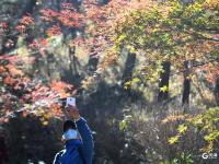 北九水红叶满山谷