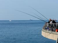 一般人我不告诉！后海这条木栈道太适合秋游了