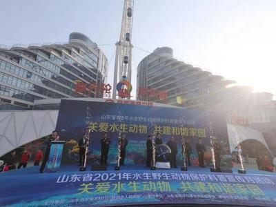 山东省2021年水生野生动物保护科普宣传月启动，将严惩非法猎捕行为
