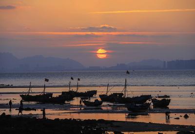夕阳+晚霞+海鸥！顾家岛海滨实拍美图