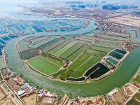 观海视觉2021年鉴①：时光里的照片日记