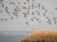 观海视觉2021年鉴⑦：快门是时间的魔法