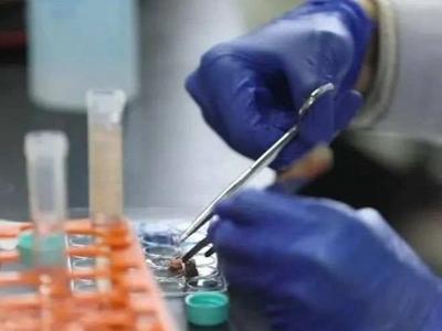首个国产新冠特效药获批！还用打疫苗吗？
