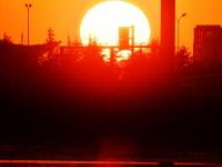 生态湿地藏秘境，夕阳候鸟入画来