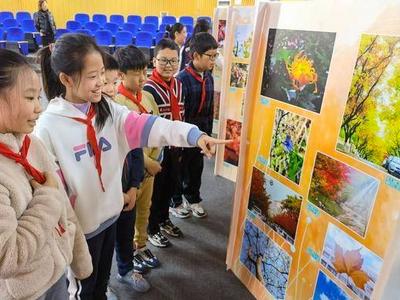 摄影、视频、手工画！这所学校的孩子将秋天之美展现得淋漓尽致