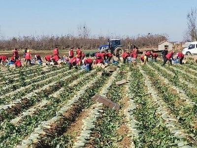 全省唯一！青岛这个地方入选全国示范基地