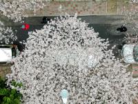 观海视觉2021年鉴①：时光里的照片日记