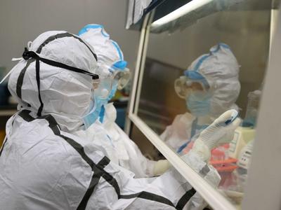 事关“双节”聚会、宴请、出行！青岛疾控专家最新提醒来了