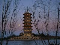 观海视觉2021年鉴①：时光里的照片日记