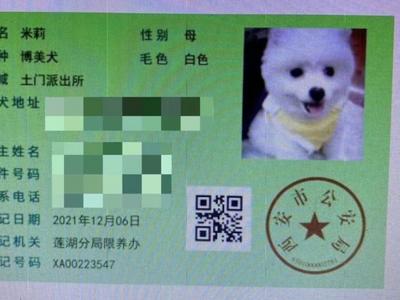 “狗比娃金贵！”一句话引热议，警方：扣狗并罚款