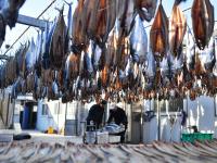 “一卤鲜”，挂满院，真鲜！