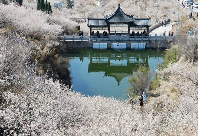 摄影记者2021年鉴③：航拍器里的四季掠影