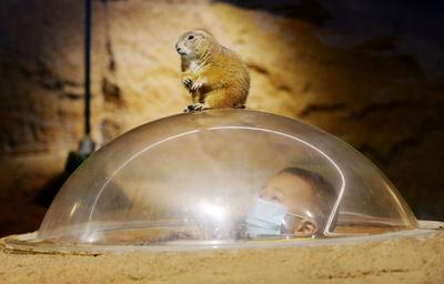 摄影记者2021年鉴④：居中而立，影像发声