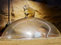 摄影记者2021年鉴④：居中而立，影像发声