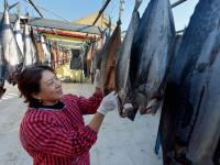 “一卤鲜”，挂满院，真鲜！