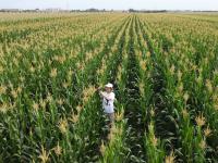 摄影记者2021年鉴③：航拍器里的四季掠影