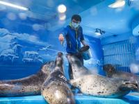 观海视觉2021年鉴⑪：相册“C位”属于他们