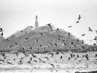 一位资深记者的求索！“光影30年·孙立精选作品展”元旦开启
