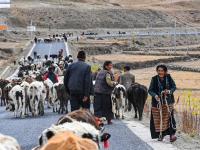 摄影记者2021年鉴⑤：我镜头里的援藏故事