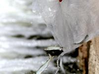 摄影记者2021年鉴④：居中而立，影像发声