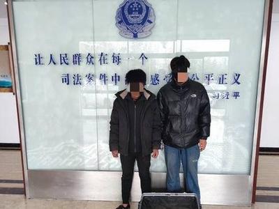 短短几天，撬盗电动车电瓶40余块！警察走访调查之际，小偷却“自投罗网”