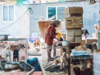 观海视觉2021年鉴⑭：萌新记者“城”长光影