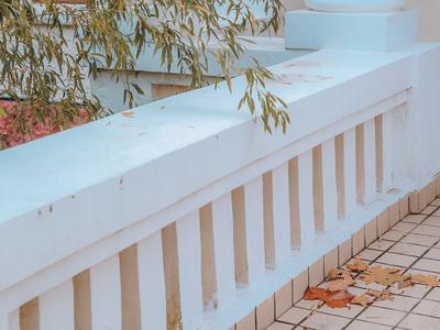 冬日寻花！那些遗留在枝头的“小温柔”