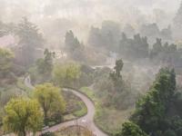 观海视觉2021年鉴⑨：脚步丈量，相机回忆