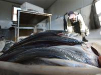 “一卤鲜”，挂满院，真鲜！