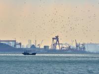 栈桥上空“天光乍现”，快来看！