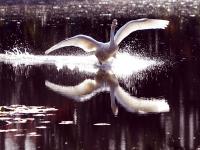 观海视觉2021年鉴②：极冷的天，极暖的心