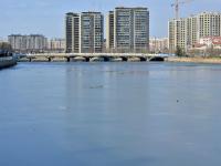 “冻”真格！青岛多处上演冰封景象