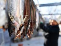 “一卤鲜”，挂满院，真鲜！