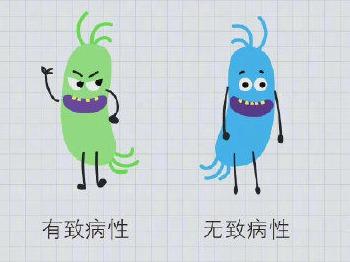 当我们体检时被查出感染幽门螺杆菌，该怎么做？