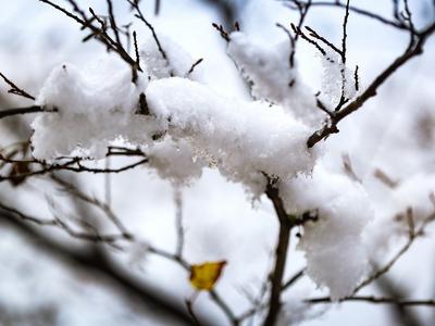 未来两天北方多地有雨雪天气，以小到中雪或雨夹雪为主
