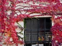 观海视觉2021年鉴①：时光里的照片日记