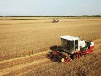 摄影记者2021年鉴③：航拍器里的四季掠影