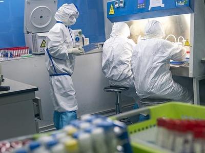 国家医保局：启动新冠病毒核酸检测第三轮全国联调，单人单检降至40元